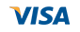 casinos con visa